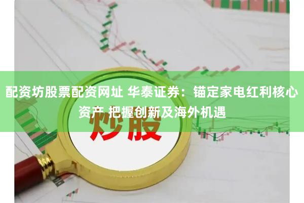 配资坊股票配资网址 华泰证券：锚定家电红利核心资产 把握创新及海外机遇