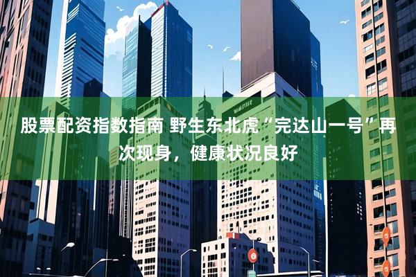 股票配资指数指南 野生东北虎“完达山一号”再次现身，健康状况良好