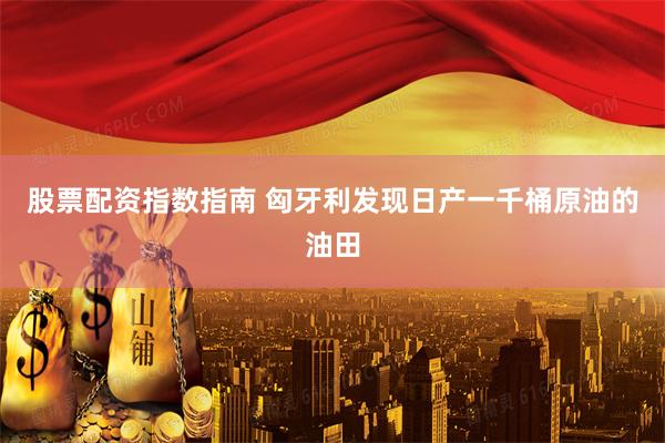 股票配资指数指南 匈牙利发现日产一千桶原油的油田